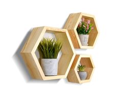 three wooden hexagonal shelves with plants in them