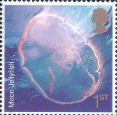 a postage stamp with an image of a jellyfish on it's back side