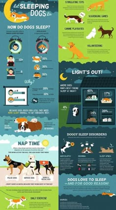 an info poster showing the different types of dogs and how they use them to sleep