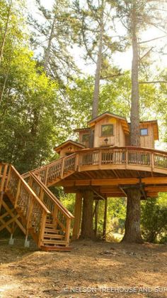 a tree house in the woods with stairs leading up to it