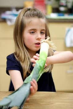 After reading the book "Tops and Bottoms" to my students, we all sat down for an exploration lesson. One at a time, I brought out a new vegetable. My students had to determine if it was a TOP or if it was a BOTTOM. March Lessons, Pre-k Science, Energy Kids, Preschool Garden, Planting For Kids