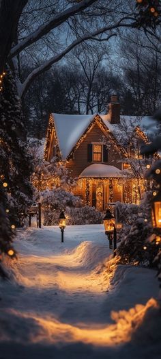 a house is lit up with christmas lights in the snow and surrounded by evergreens