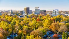 the city is surrounded by colorful trees and buildings in the distance, with autumn foliage on the ground