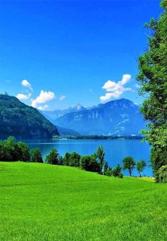 a grassy field next to a lake with mountains in the background and trees on either side