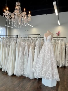 wedding gowns on display in a bridal shop