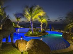 an elephant standing in front of a swimming pool at night with palm trees and lights