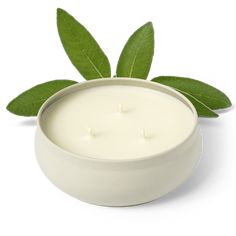 Woodland Sage is a luxurious blend of clary sage, sandalwood, and white musk, with a hint of fresh eucalyptus. Our new 3-wick candles are crafted to fill your space with bold fragrance, thanks to a larger melt pool that enhances the scent throw. Hand-poured in small batches, each candle is made with 100% plant-based fragrances, lead-free wicks, and pure soy wax for a clean burn. Woodland Sage, Salvia Sclarea, Fresh Eucalyptus, 3 Wick Candle, Fabric Spray, Bergamot Oil, Eucalyptus Oil, Candle Gift Set, 3 Wick Candles