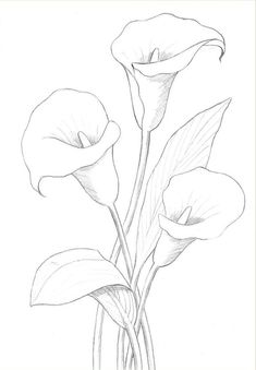 a drawing of three flowers in a vase