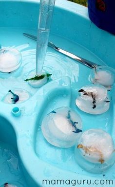 an ice bucket filled with water and small fish