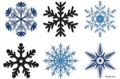 six snowflakes are shown in blue and black colors, each with different shapes