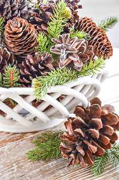 pine cones and evergreen needles in a white basket