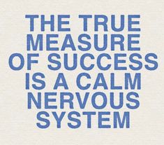 the true measure of success is a calm nervous system, with blue text on white paper