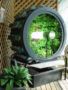 a room that has plants in it and a large mirror on the wall behind it