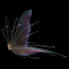 a butterfly flying through the air on a black background