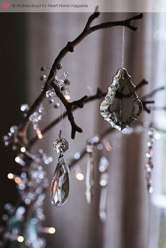 a branch with some water drops hanging from it's branches and lights in the background