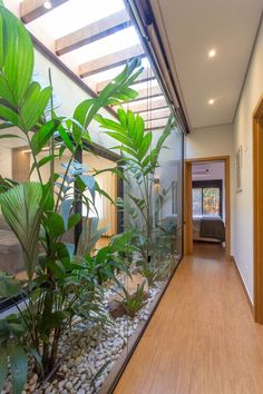 a long hallway with plants and rocks in the center, leading to a bedroom on the other side