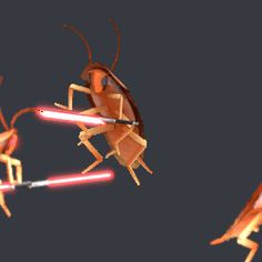 two bugs with lightsabens on their backs and arms, one is holding a light saber