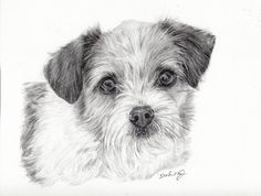 a black and white drawing of a dog