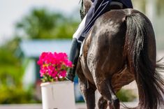 a man riding on the back of a brown horse next to a pink flower pot