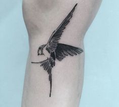 Whiskey Jack Bird Tattoo, Bird Knee Tattoo, Colorado Tattoos, Hawk Tattoos, Finch Tattoo, Swallow Bird Tattoo, Colorado Tattoo, Hawk Tattoo, Shin Tattoo