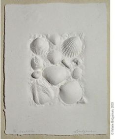 an image of seashells on white paper