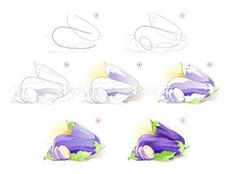 step by step instructions on how to draw an eggplant flower with colored pencils