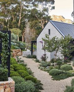 an outdoor garden with various plants and shrubs