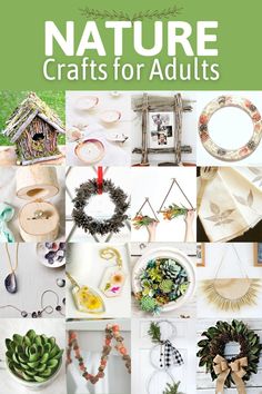 the cover of nature crafts for adults with pictures of wreaths, pine cones and succulents