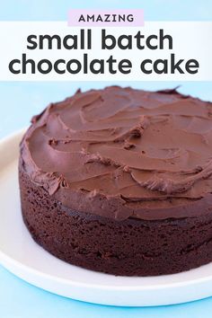 a chocolate cake on a white plate with the words, amazing small batch chocolate cake