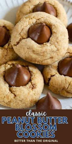 chocolate peanut butter blossom cookies on a plate with the title in the middle above it