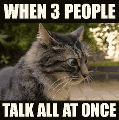 a cat sitting on top of a wooden table next to a sign that says, when 3 people talk all at once