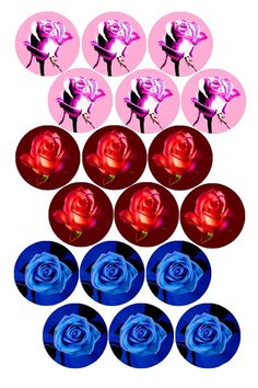 several different images of blue and pink roses in circles on a white background with the same color