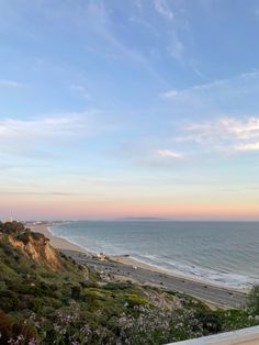 an empty bench overlooking the ocean and beach at sunset or sunrise with pink flowers in foreground