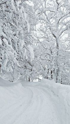 a person riding skis down a snow covered slope next to trees in the background