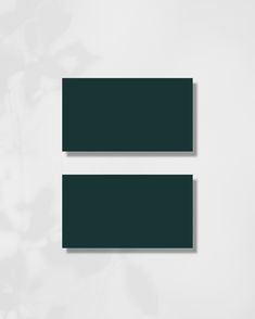 two dark green rectangles on a white wall with flowers in the corner and one black rectangle at the bottom