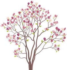 a tree with pink flowers and green leaves on it's branches is shown in front of a white background