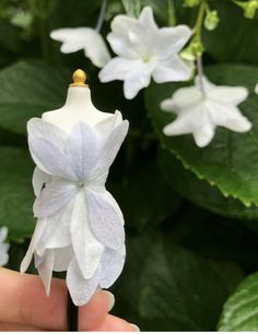 a hand holding a miniature white flower in front of some green leaves on a plant