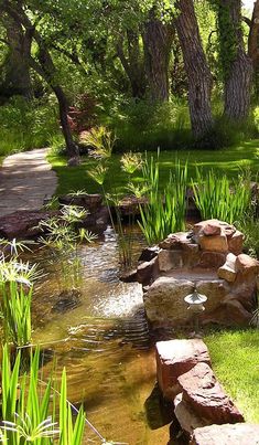 there is a small pond in the middle of the yard with rocks and grass around it