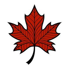 a red maple leaf on a white background