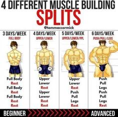 four different types of muscle building