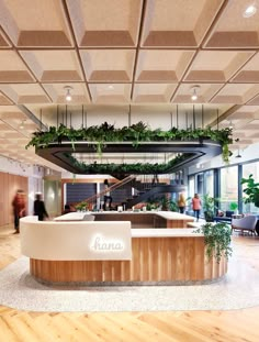 the inside of an office building with plants growing on the wall and wooden flooring