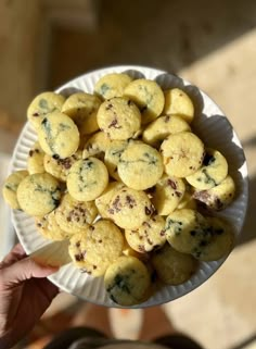 a person holding a paper plate filled with blueberry muffins on top of a table