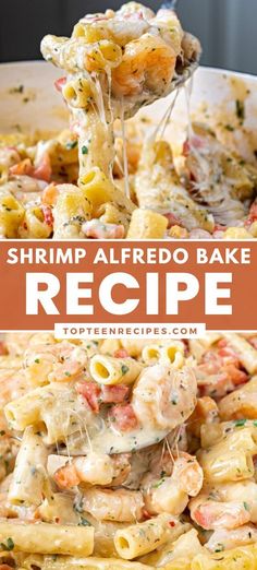 shrimp alfredo bake recipe with pasta and cheese