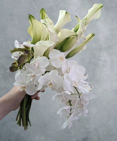 a person holding a bouquet of white flowers in their left hand, on a gray background