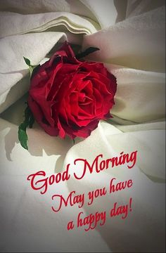 a red rose sitting on top of a white sheet with the words good morning may you have a happy day