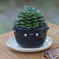 a small potted plant sitting on top of a white plate next to eye glasses