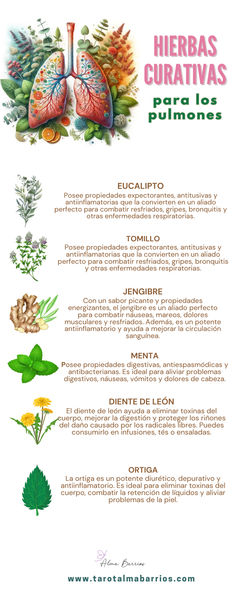 Healing Plants, Natural Teas, Natural Health Tips, Good Health Tips, Medicinal Herbs, Natural Home Remedies, Health And Beauty Tips