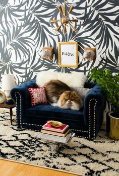 a cat laying on top of a blue couch in front of a black and white wall