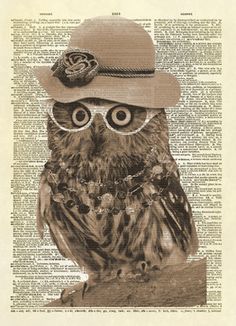 an owl with glasses and a hat on it's head