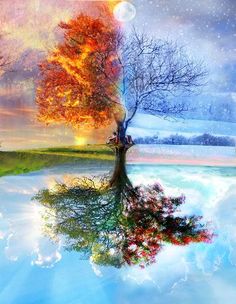 a tree with the words to everything there is a season and a time for every purpose under the sun